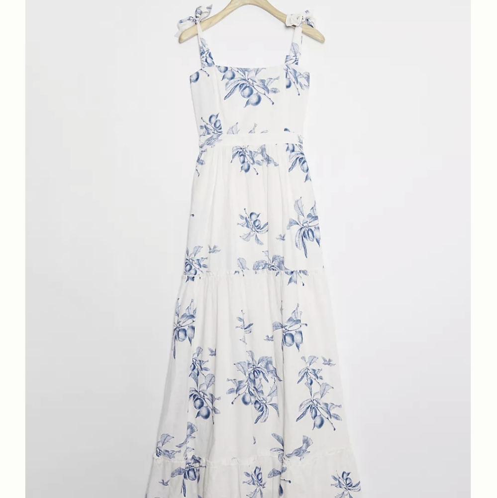 Agua Bendita Celestine maxi dress, size 1X
